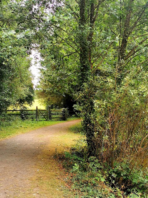 Brittas Lake