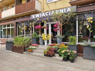 Kwiaciarnia White 8 & Flowers Place