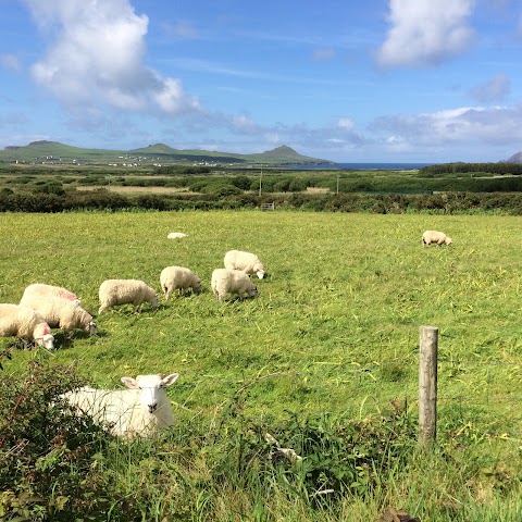 Dingle Electric Bike Experience