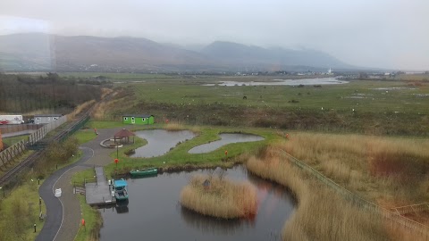 Tower View Lodge B&B