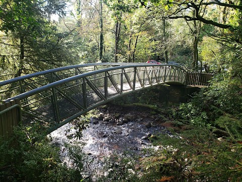 Glengarra Wood Forest Recreational Area