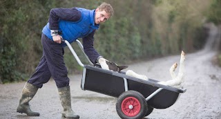 Calf Barrow