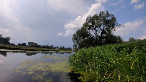 Полонський Парк