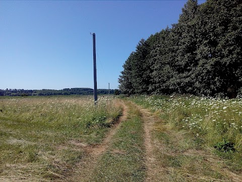 Гідроголічний заказник "Сульський"