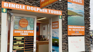 Dingle Dolphin Boat Tours