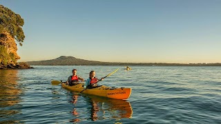 Auckland Sea Kayaks