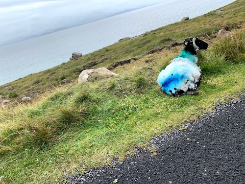 Wild Atlantic Way - Dumhach Bheag