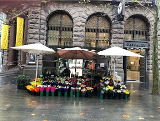 Flowers On Martin Place