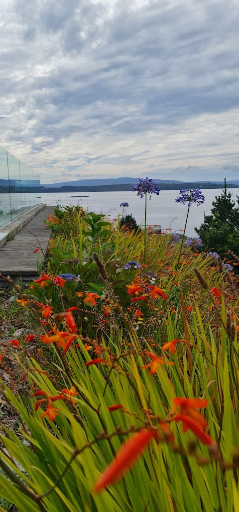 Hotel - Berehaven Lodge #4