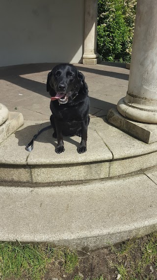 Kinnegad Veterinary