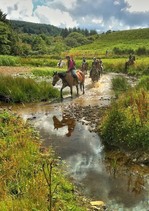 Bantry Bay Pony Trekking