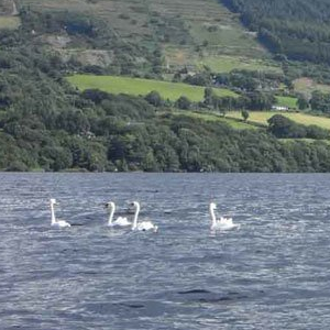 Lough Derg Cottage Rental