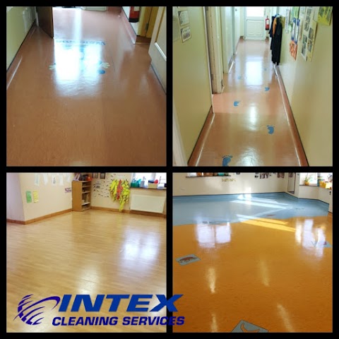 Intex Cleaning services