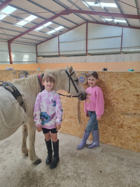 Hairy Henry Therapeutic Riding