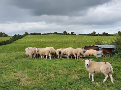 Valley Lodge Farm Hostel