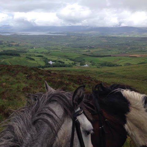 Bantry Pony Trekking