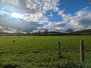 Bungalow Farmhouse B&B Guesthouse Co.Kilkenny