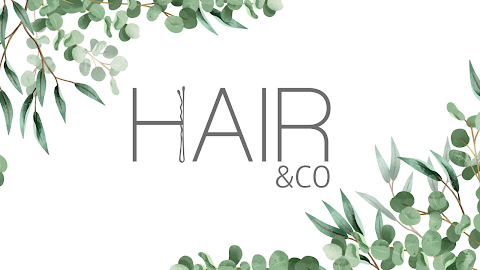 Hair & Co