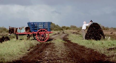 Ireland West Farm Stay