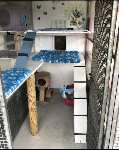 Rose’s Cat Hotel