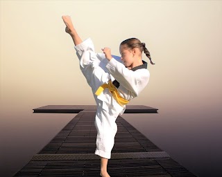 Progress Taekwondo Martial Arts in Craigieburn for Kids & Teens 3-7 & 8-15