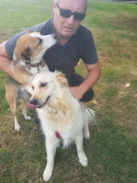 Little and large dog boarding kennels