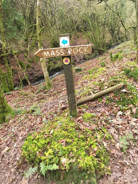 Canon Sheehan Loop (Glenanair Forest)