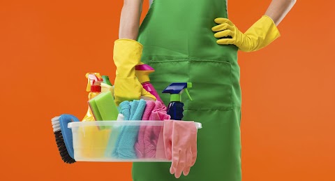 S E Cleaning Services