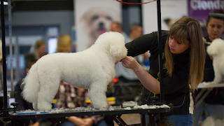 Muddy Puppy Grooming Salon