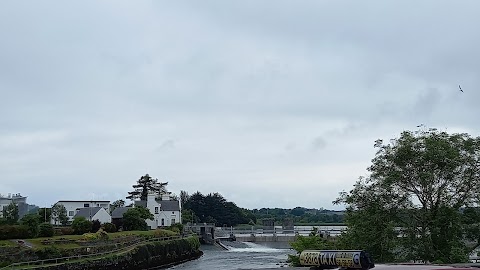 Salmon Weir Bridge