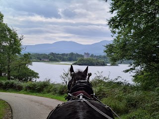 Killarney Horse and Carriage Tours