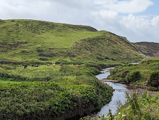 Doolin Tourism