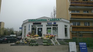 Kwiaciarnia Areka