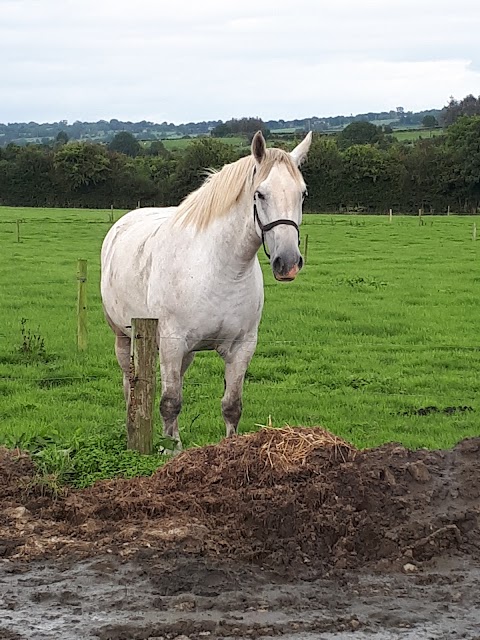 Coolmore Farmhouse