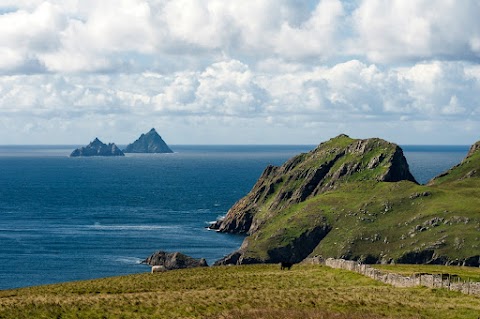 Skelligs Chocolate and Cafe