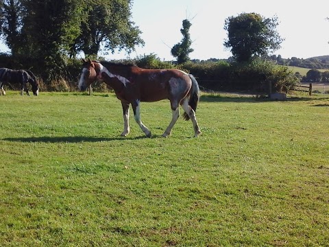 Glen Aire Stables