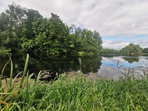 Bagenalstown Swimming Club