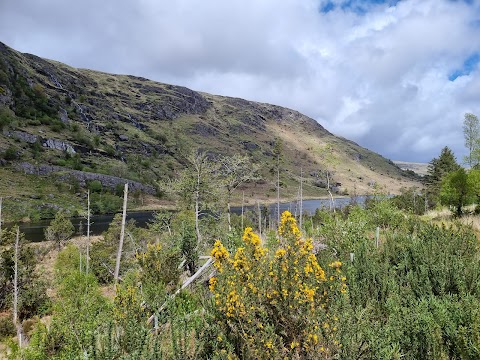 Gougane Barra National Forest Park