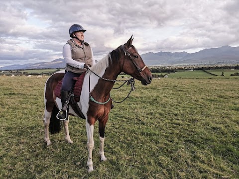 Equine Partnership