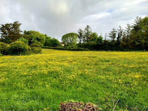 HILLSIDE HEALING