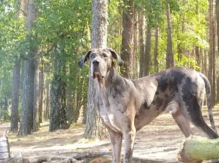 Vita i Animal Przychodnia Weterynaryjna Zdzisław Rak