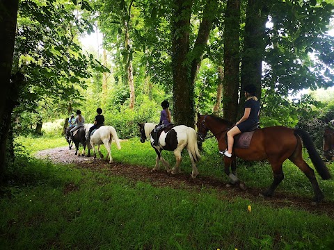 Dromquinna STABLES