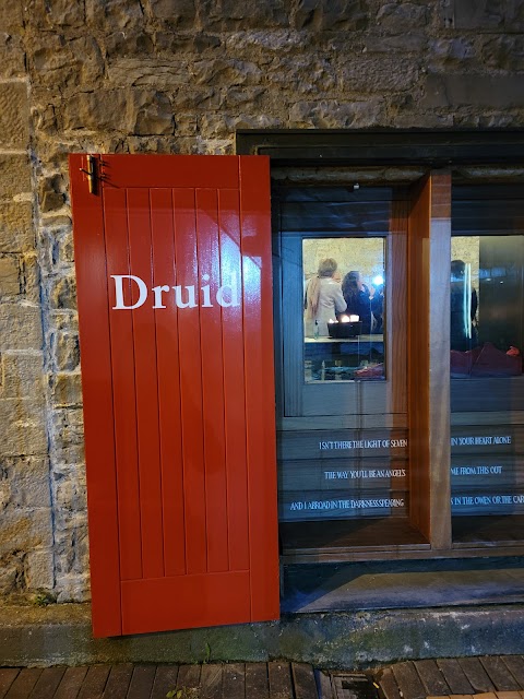 Druid Theatre Company