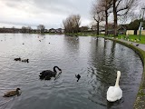 The Lough Trail