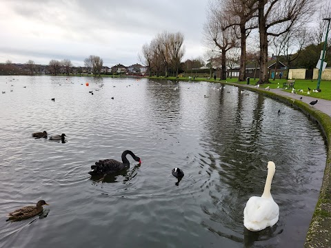 The Lough Trail