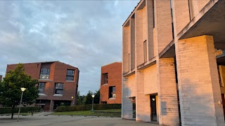 University of Limerick School of Medicine