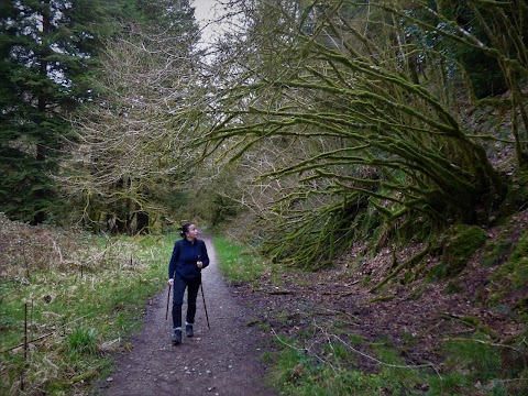 Canon Sheehan Loop (Glenanair Forest)