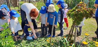 Chester Hill Kindergarten & Child Care Centre