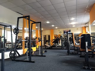 PULSE GYM