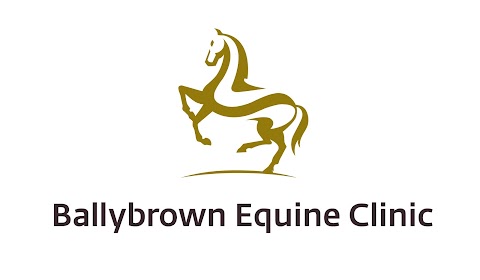 Ballybrown Equine Clinic